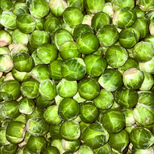 Chou de Bruxelles