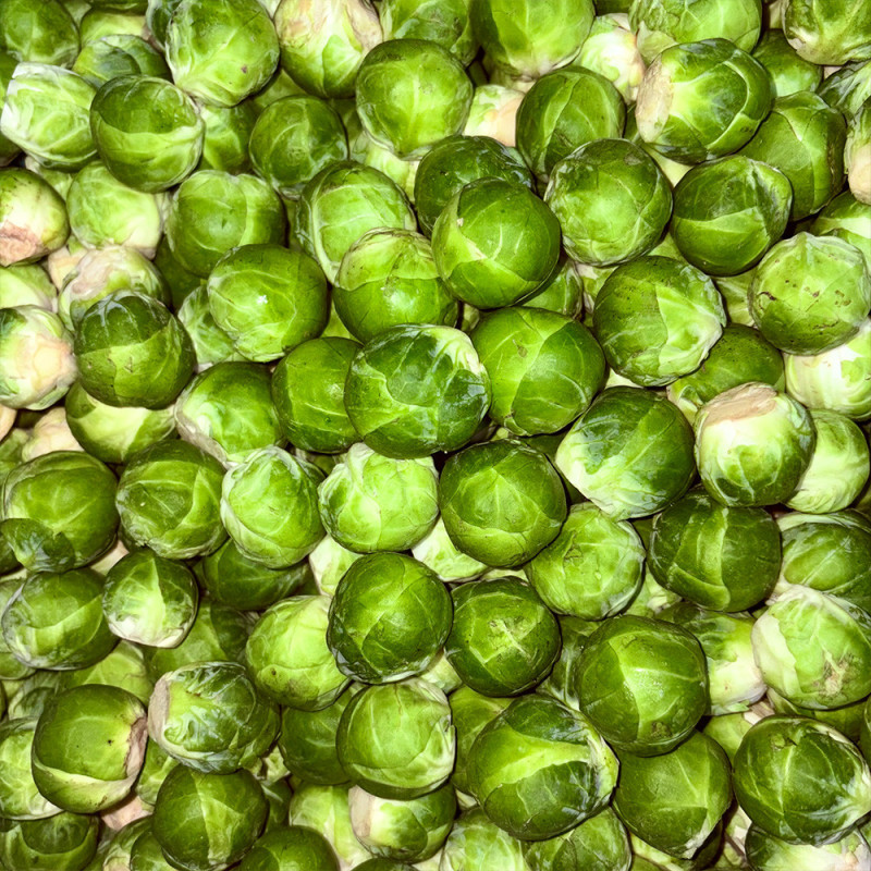 Chou de Bruxelles