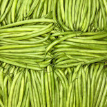 Haricot
