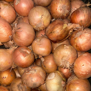 Oignons