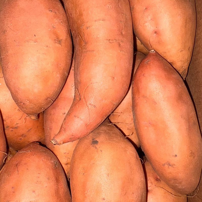 Patate douce