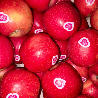 Pomme Pink Lady
