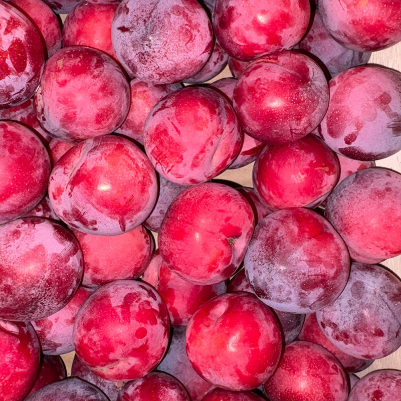Prune